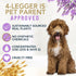 4Legger 16 oz All Natural Organic Oatmeal Dog Shampoo for Itchy Skin with Aloe, Coconut & Lavender Essential Oil