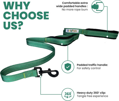 Heavy Duty Dog Leash for Small to Large Dogs - 6 ft Long with Comfortable Padded Larger Double Handles for Training, Walking, Running. Reflective Stitching & Carry Bag