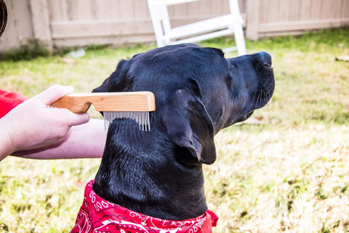 Detangling Pet Comb for Matted Hair - Natural Easy Grooming Tool with Long & Short Stainless Steel Teeth for Dog and Cat
