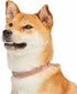Blueberry Pet Sparkling Rhinestone Adjustable Dog Collar, Baby Pink, Neck 9-12.5", for Small Breed Dogs