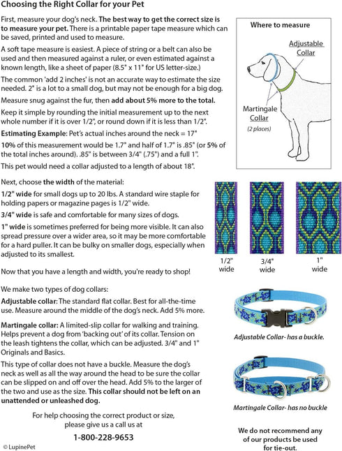 Martingale Large Dog Collar by Lupine 1" wide El Paso design adjusts 19" to 27"