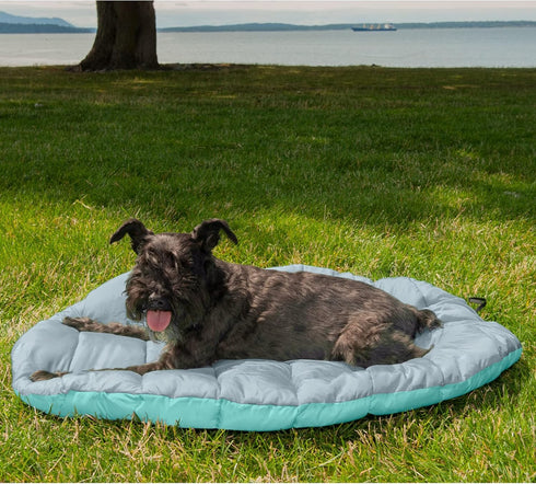 Furhaven Outdoor Travel Dog Bed for Small Dogs, Washable & Foldable with Carry Bag, Aqua/Granite Gray, Small
