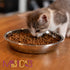 Messy Cats Stainless Steel Saucer Shaped Bowl - Fits Messy Cats Silicone Bowl Holders and Lids (Sold Separately)