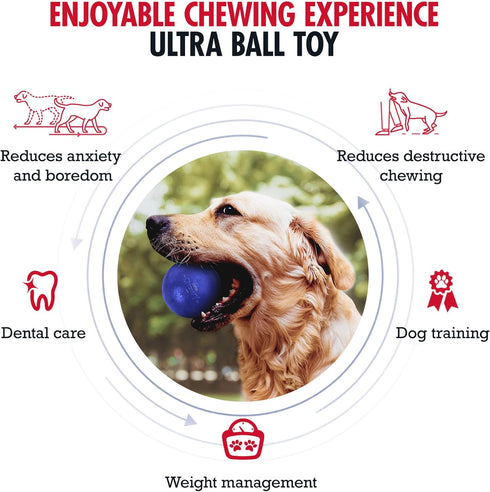 Tuff Pupper SuperChewy Tough Dog Ball Toy, Strong Natural Rubber Fetch Toy for Aggressive Chewers