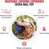 Tuff Pupper SuperChewy Tough Dog Ball Toy, Strong Natural Rubber Fetch Toy for Aggressive Chewers