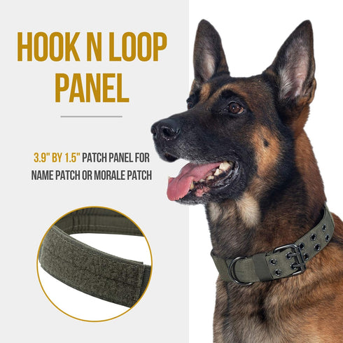 OneTigris Military Dog Collar with Metal D Ring & Buckle, Adjustable, 2 Sizes (Ranger Green, L)