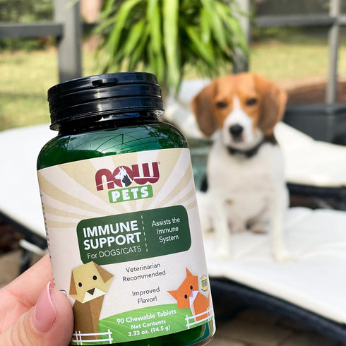 NOW Foods Pet Health Immune Support Supplement - 90 Chewable Tablets for Cats & Dogs