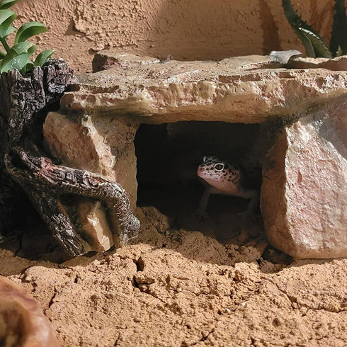 Resin Hideout Shelter for Shrimp and Crawling Pets, Aquarium Tortoise Cave Decorations, Spacious Betta Fish Resting Spot