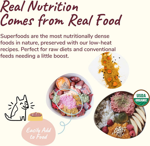 kin+kind Hip+Joint Supplement for Dogs & Cats, Vet Formulated Natural Formula with Organic Turmeric, Black Pepper,