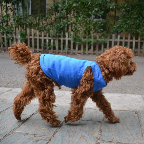 2018 Classic Blue Pet Clothes for Dogs, 100% Cotton Blank T-Shirt Tanks Vests for Small to Large Sizes