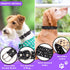 Rhinestone Leather Dog Collar Bling Dog Collars for Small Medium Large Dogs - Soft Microfiber Leather with Adjustable Stylish Sparkly Diamonds Studded Male and Female (1" Wide,Black,L)
