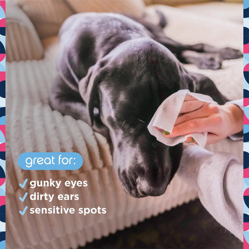Plant-Based Dog Ear and Eye Wipes with Aloe Leaf & Chamomile, Fragrance-Free, 30 Count (Pack of 1)
