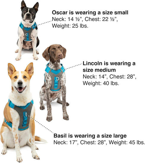 Kurgo Journey Air Dog Harness - Vest Harnesses for Dogs, Pet Hiking Harness for Running & Walking, Reflective, Padded,