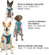Kurgo Journey Air Dog Harness - Vest Harnesses for Dogs, Pet Hiking Harness for Running & Walking, Reflective, Padded,