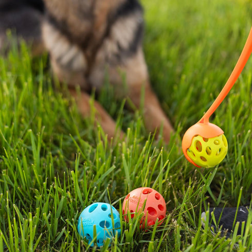 Messy Mutts Totally Pooched Huff'n Puff Ball, 2.5” TPR Puzzle Ball for Dogs, Durable Interactive Toy