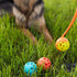 Messy Mutts Totally Pooched Huff'n Puff Ball, 2.5” TPR Puzzle Ball for Dogs, Durable Interactive Toy