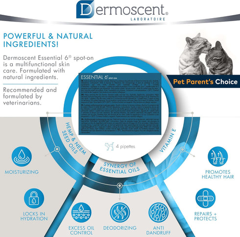 6 Bayer Dermoscent Essential Spot On Skin Care for Cats Pet Itch Remedies