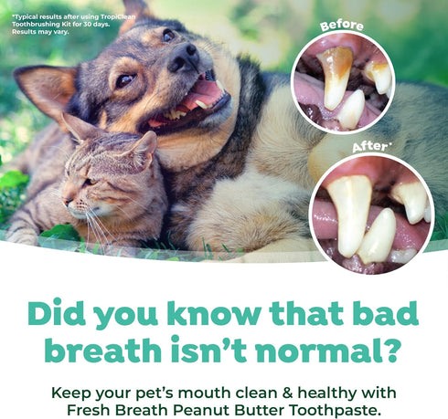 TropiClean Fresh Breath Plaque & Tartar Control Kit | Dog Toothpaste, Toothbrush & Finger Brush | Dog Toothbrushing Kit