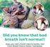 TropiClean Fresh Breath Plaque & Tartar Control Kit | Dog Toothpaste, Toothbrush & Finger Brush | Dog Toothbrushing Kit