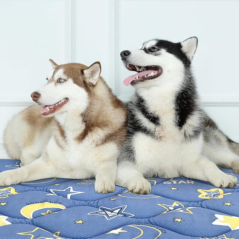 Dog Crate Mat, Ultra Soft Washable Bed Mat with Anti-Slip Bottom, Cute Prints, for Large Medium Small Dogs (59" X 35")