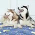 Dog Crate Mat, Ultra Soft Washable Bed Mat with Anti-Slip Bottom, Cute Prints, for Large Medium Small Dogs (59" X 35")