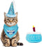 Cat Birthday Boy Party Pack, Bandana, Star Spangled Blue Party Hat, Catnip Birthday Cake Toy