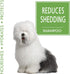 Four Paws Magic Coat Dog Shampoos - Dog Grooming Supplies Made in USA