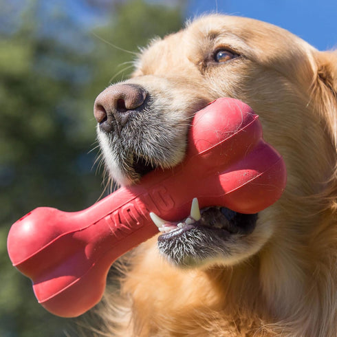 KONG Goodie Bone, Classic Durable Natural Rubber Dog Bone, Red, for Small Dogs