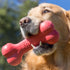 KONG Goodie Bone, Classic Durable Natural Rubber Dog Bone, Red, for Small Dogs