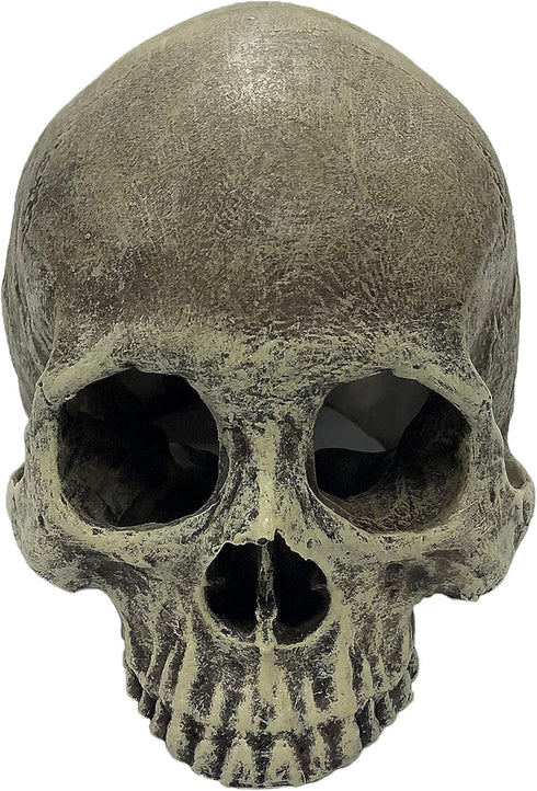Komodo Reptile Terrarium Realistic Half Human Skull Ornament Decor, Easy to Clean Aquarium Decoration Accessory