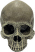 Komodo Reptile Terrarium Realistic Half Human Skull Ornament Decor, Easy to Clean Aquarium Decoration Accessory