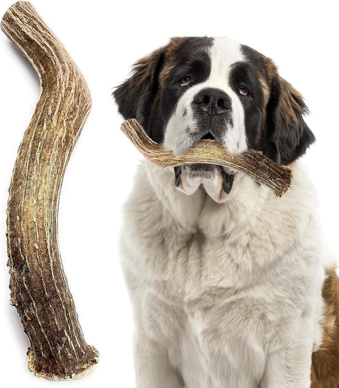 Heartland Deer Antlers for Dogs, Grade A Naturally Shed Antlers, Chew Toy for Aggressive Chewers & Teething Puppies