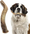 Heartland Deer Antlers for Dogs, Grade A Naturally Shed Antlers, Chew Toy for Aggressive Chewers & Teething Puppies