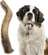 Heartland Deer Antlers for Dogs, Grade A Naturally Shed Antlers, Chew Toy for Aggressive Chewers & Teething Puppies
