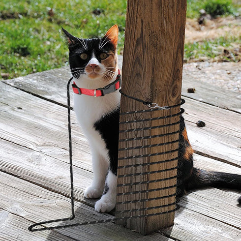 Extra Long Cat Leash for Yard, Lightweight Outdoor Long Lead for Rabbits, Kittens, Puppies, and Small Animals