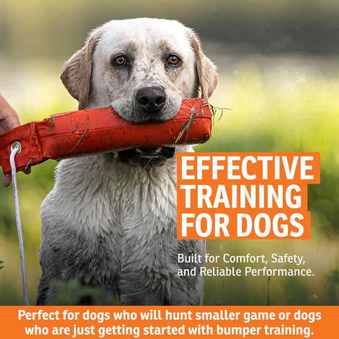 Dummies Dummy 2.75" 12" SportDOG Canvas - Hunting Dog Training Tool - Game Scent Absorber - Water-Ready Bumper