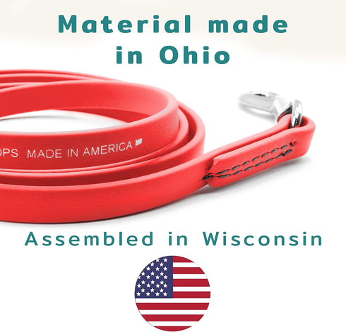 Jelly Pet Leash, Waterproof and Easy to Clean, Made in America, Stronger than Leather (1/2" x 6', Royal Blue)