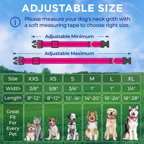 TECEUM Reflective Pet Collar – Hot Pink – M – Basic Nylon Dog Collar with Extra Soft Padding – Quick Release Buckle