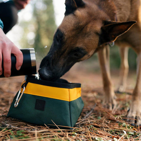 2.3L P.L.A.Y. Collapsible Dog Water & Food Bowl - Great Dogs, Travel, On-the-go, Hiking, Outdoors - Portable, Folds