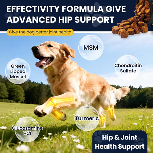 Hip and Joint Supplement for Dogs Dog Probiotics Glucosamine Chondroitin MSM Chew for Dog Arthritis Pain Relief Extend