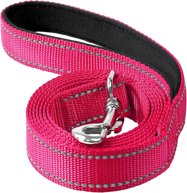 6ft Dog Leash for Small Medium Large Dogs - One-Sided Reflective Nylon with Padded Handle - Hot Pink