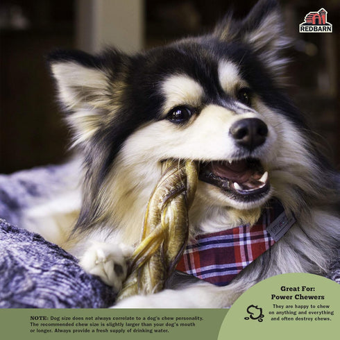 Redbarn 9" Braided Bully Sticks for Dogs - Natural, Grain-Free, Long-Lasting Dental Chews from Grass-Fed Cattle