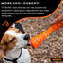 BIONIC Urban Stick Dog Toy - Small Interactive Chew Toy for Tough Chewers, for Dogs up to 20 lbs (9 kg)