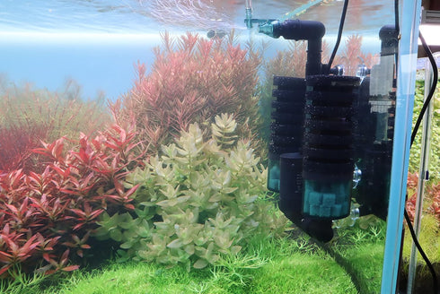 QANVEE M(15-50 Aquarium Sponge Filter Bubbler with Ultra Quiet Water Pump and Ceramic Balls for Fish Shrimp Breeding