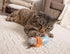 Petlinks Flutter Singer Electronic Sound Cat Toy, Battery Powered - Gray/Blue, One Size