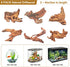 FUNOJOY Assorted Natural Driftwood Decor for Aquarium and Reptile Tank Accessories, 2-10" Wood Branches (Pack of 6)