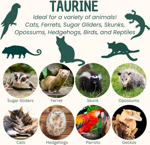 Taurine Powder | Food Topper for Heart, Vision & Daily Wellness | Amino Acid Supplement for Small & Large Pets