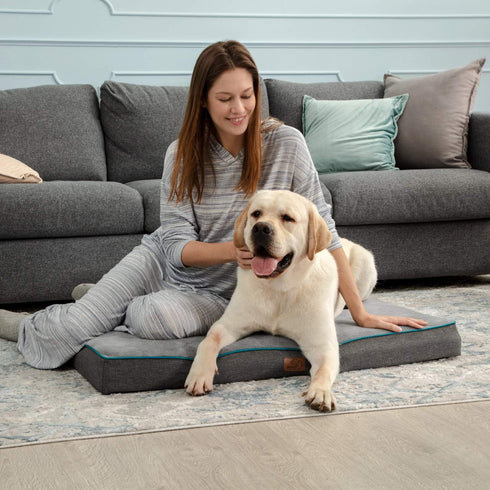 Bedsure Memory Foam Dog Bed for Extra Large Dogs, Orthopedic Waterproof with Removable Washable Cover, Grey