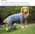 Dog Recovery Suit After Surgery, Medium Large Dog Neuter Shirt Cone Alternatives to Prevent Licking (Grey Shark, XL).