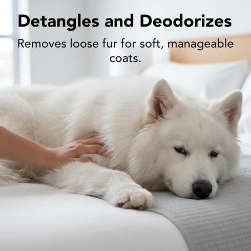 Pride and Groom THE MITT KIT: A Waterless Bath for Dogs - Foaming Dry Shampoo and a Pet Sensitive Glove for a Rinse